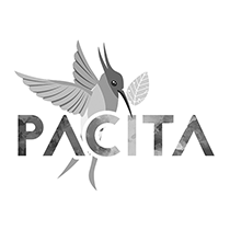 Pacita
